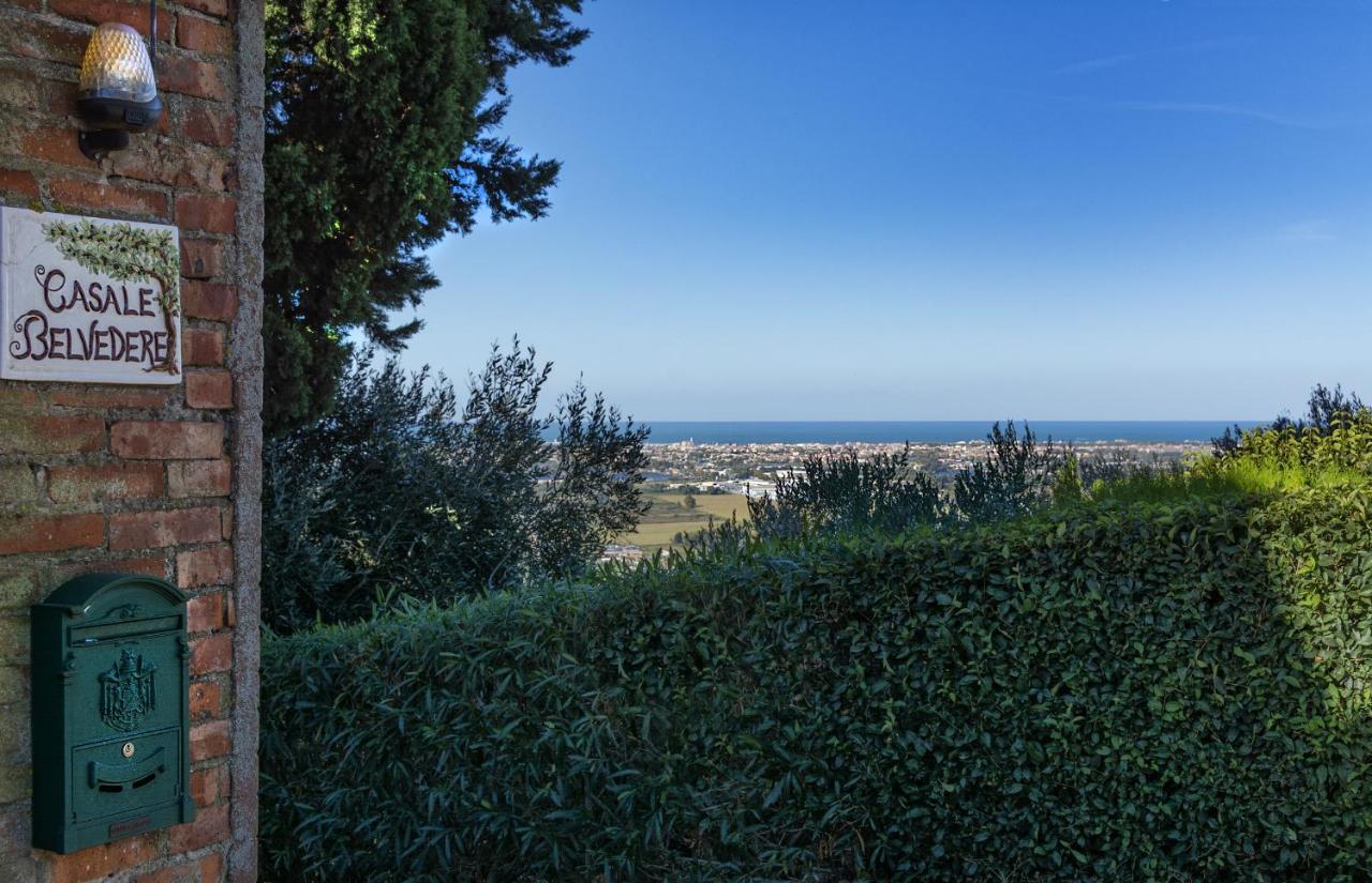 Casale Belvedere "Il Melograno" 马萨罗萨 外观 照片