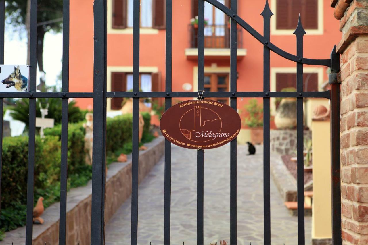 Casale Belvedere "Il Melograno" 马萨罗萨 外观 照片